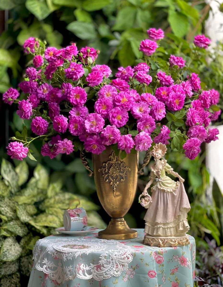 Tử vi ngày 6/9/2022 của 12 cung hoàng đạo